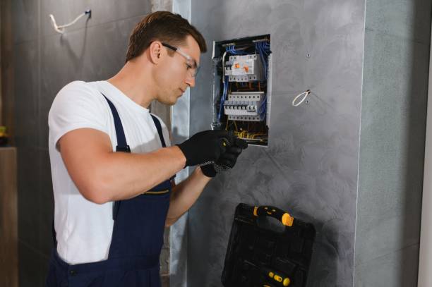 Best Electric Panel Repair  in Eureka Springs, AR